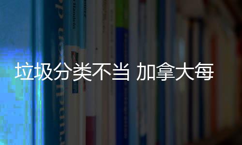 不当每年 加垃圾万元拿大分类损失数百